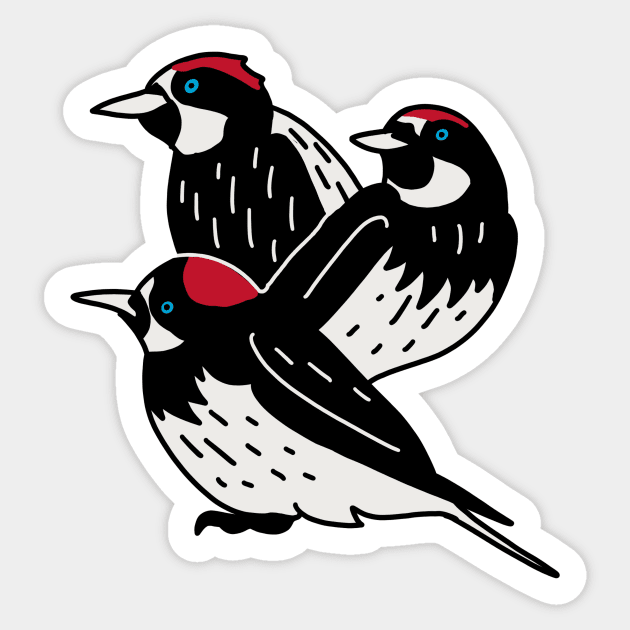 Acorn Woodpeckers Sticker by Haack Art